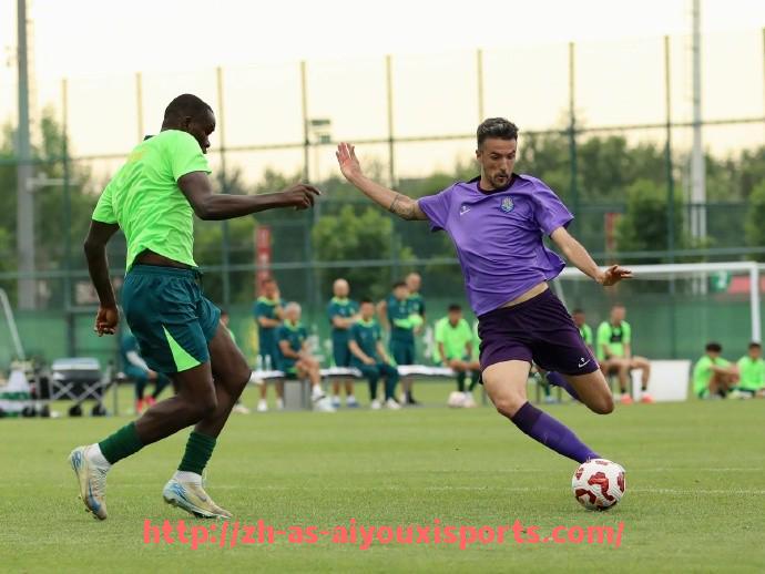 爱游戏体育官网-世俱杯比赛球员体能数据监测与科学训练指导