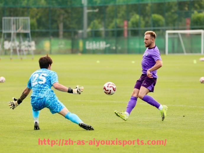 爱游戏体育官网-世俱杯球员场上位置分布与作用定位详解